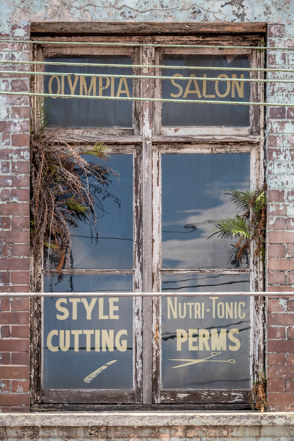 Olympia Salon