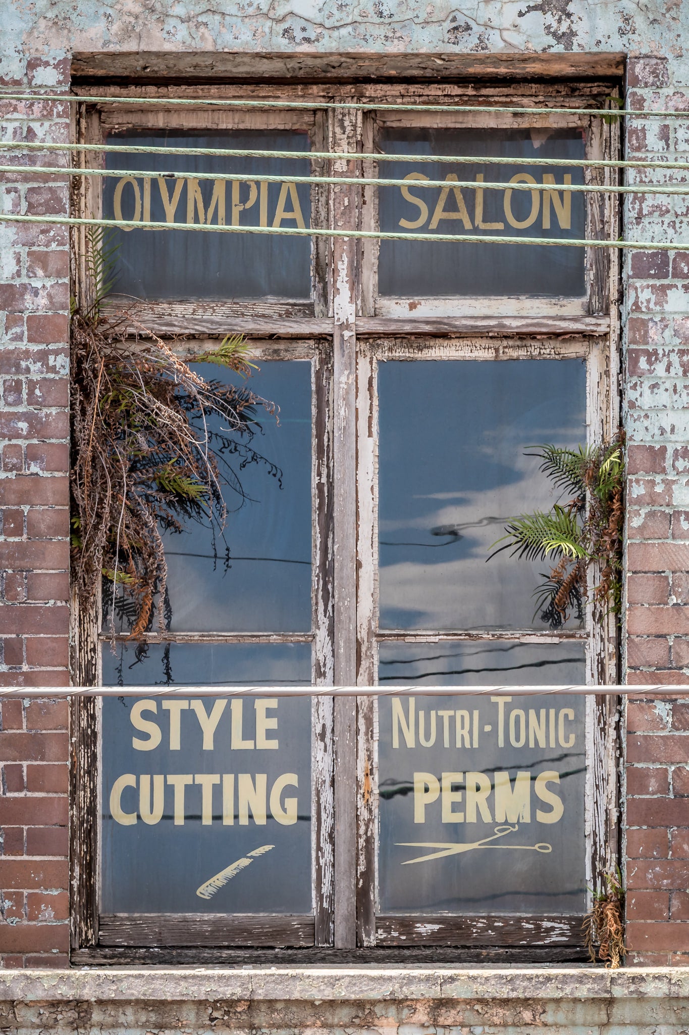 Olympia Salon at Parramatta Road, gold lettering on glass reads "Olympia Salon" across the top panes.
