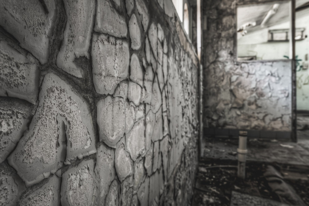 Laboratory Wall at Peters Ice Cream Factory, thick paint peels from a stone-patterned wall in deep, curling sheets.
