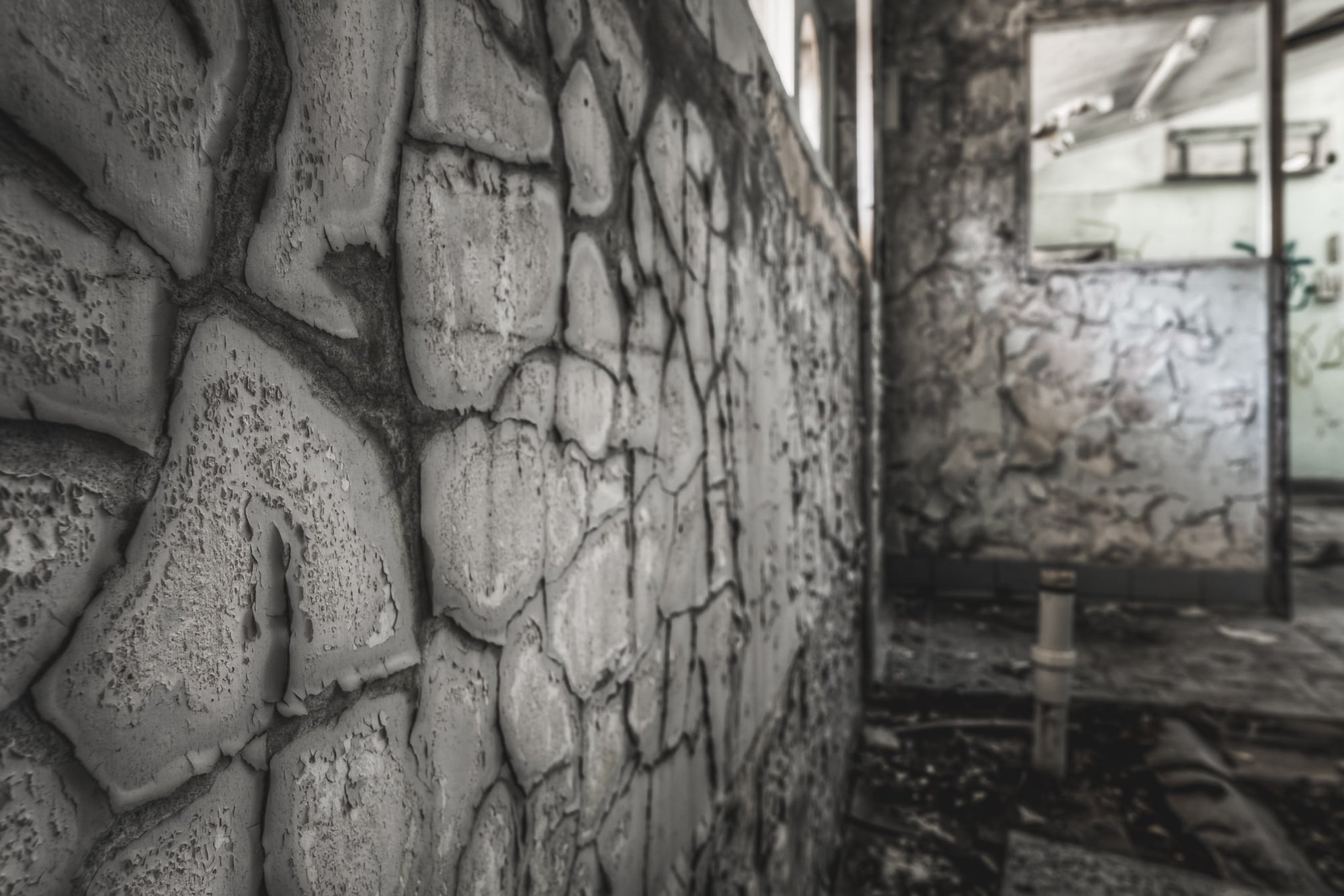 Laboratory Wall at Peters Ice Cream Factory, thick paint peels from a stone-patterned wall in deep, curling sheets.