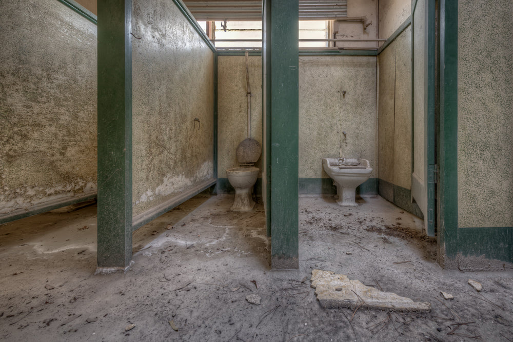 Annex Toilet at Portland Cement Works, green-painted timber partitions divide a row of cubicles in the annex block.