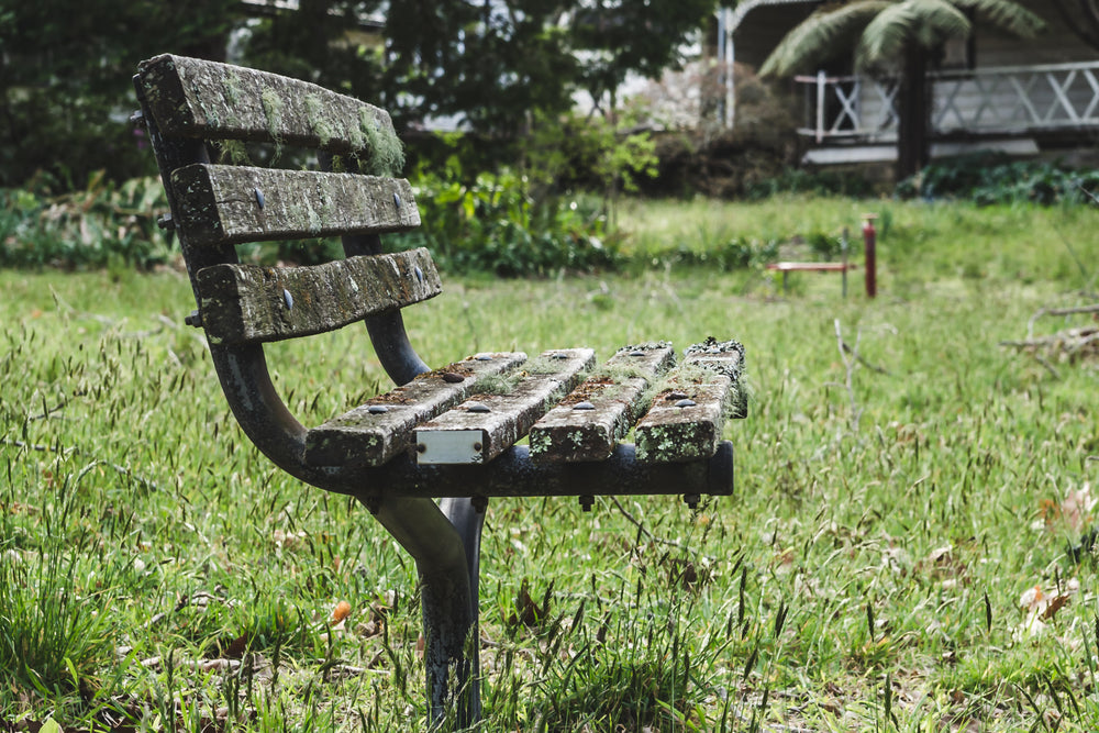 Bench Seat at Queen Victoria Sanitorium, a cast iron and timber park bench sits in uncut grass, its slats thick with lichen.