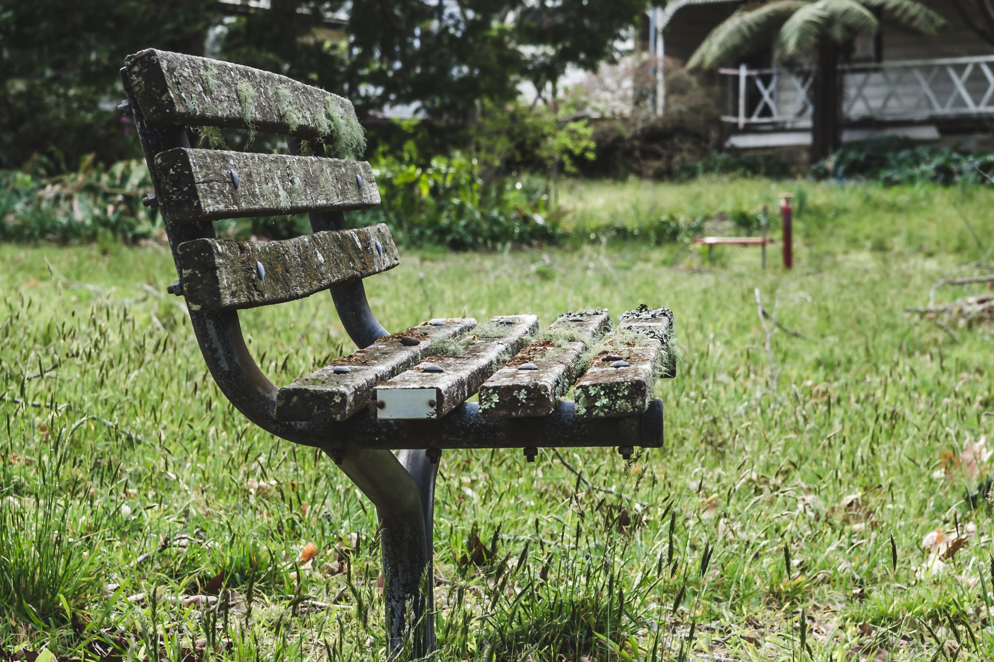 Bench Seat at Queen Victoria Sanitorium, a cast iron and timber park bench sits in uncut grass, its slats thick with lichen.