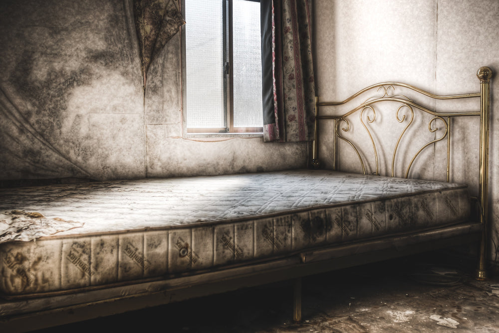 Bed at Seika Dormitory, a stripped bed frame rests within a decaying room at Seika Dormitory.