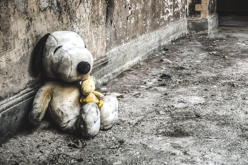 Snoopy and Woodstock at Seika Dormitory, stuffed toys, left against the wall of the bottom floor of the dormitory.