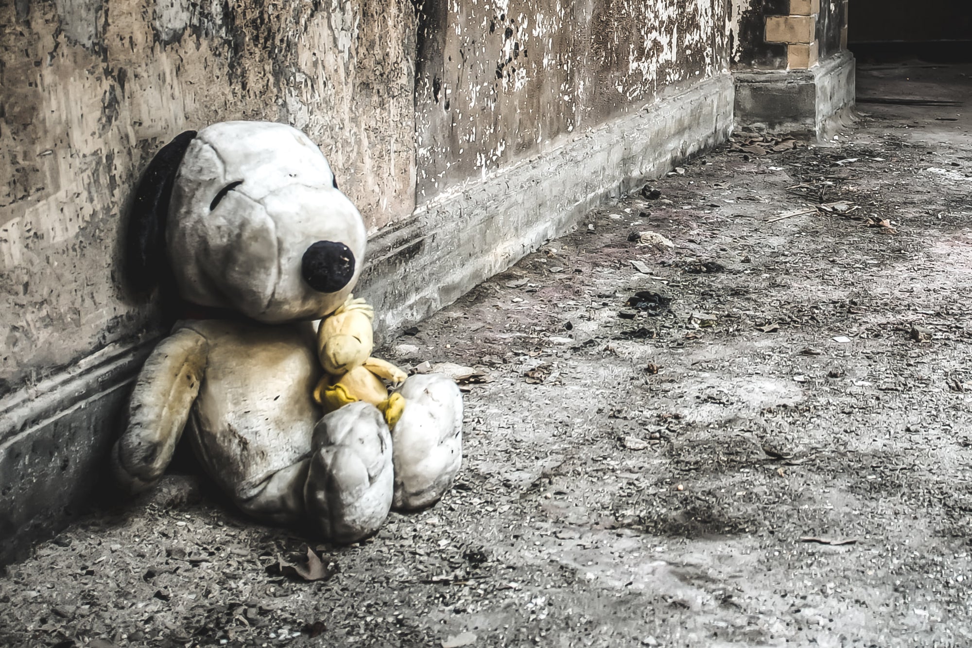 Snoopy and Woodstock at Seika Dormitory, stuffed toys, left against the wall of the bottom floor of the dormitory.