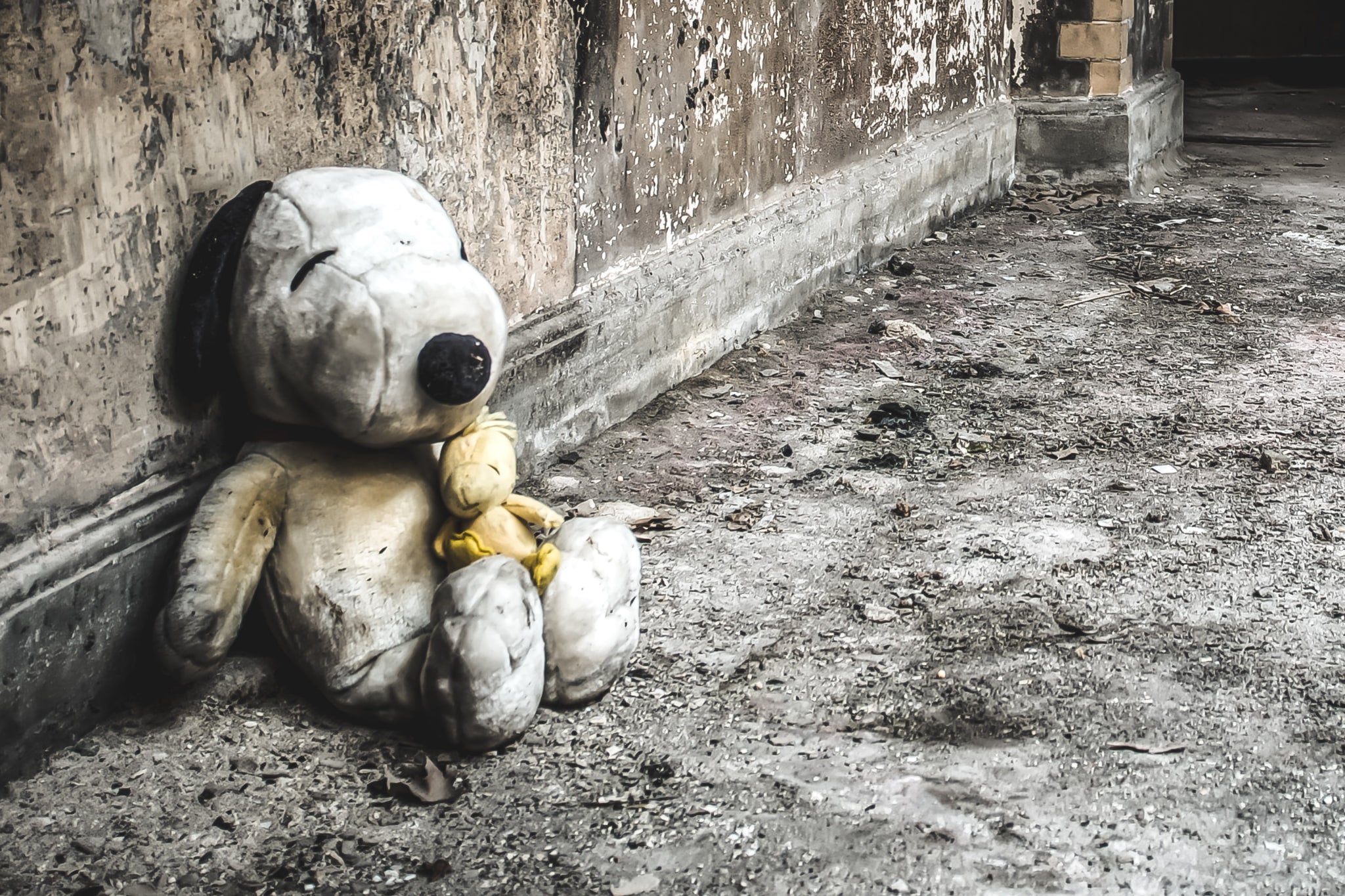 Snoopy and Woodstock at Seika Dormitory, stuffed toys, left against the wall of the bottom floor of the dormitory.