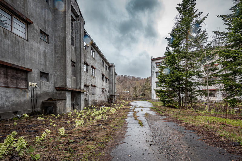 Public Housing Driveway at Streetscapes of Yubari, a driveway dividing two abandoned blocks of public housing.