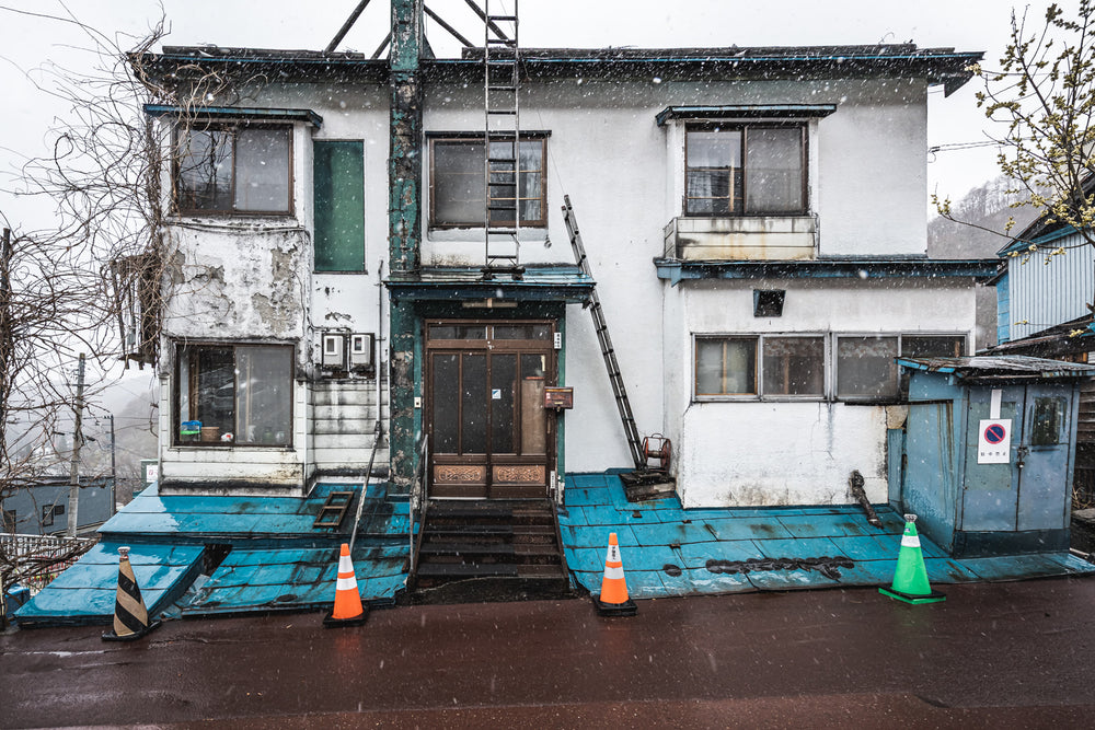 Vine House