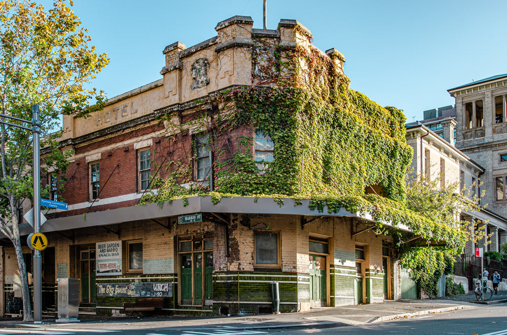 Corner Facade at Terminus Hotel, the northeast corner of the Terminus Hotel stands wrapped in ivy, its façade a patchwork.