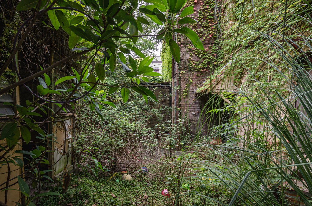 Nature Always Finds A Way | Terminus Hotel Fine Art Print - Lost Collective Shop