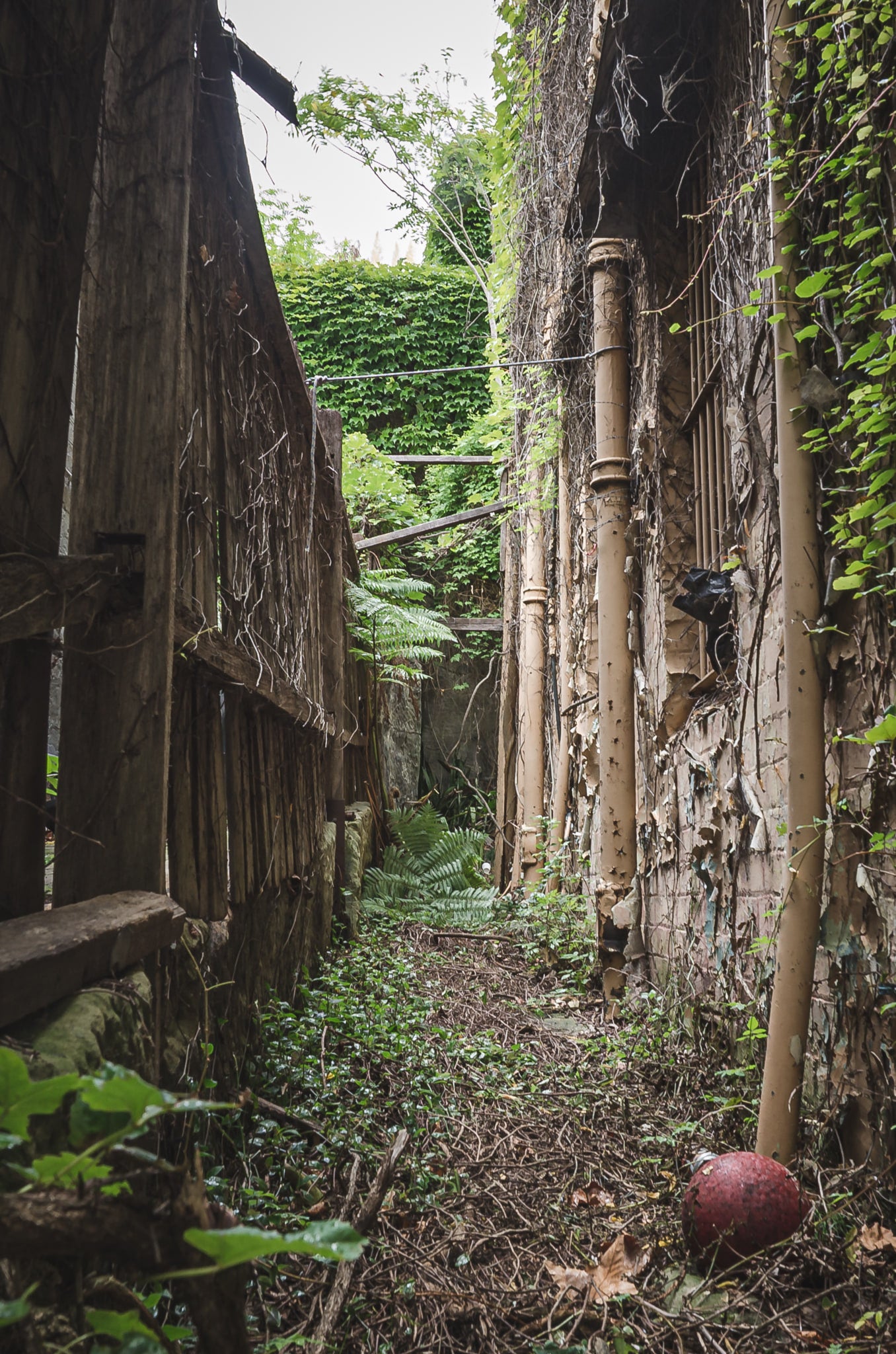 Side Access at Terminus Hotel, a narrow passage runs between a timber fence and the rendered side wall of the Terminus Hotel.