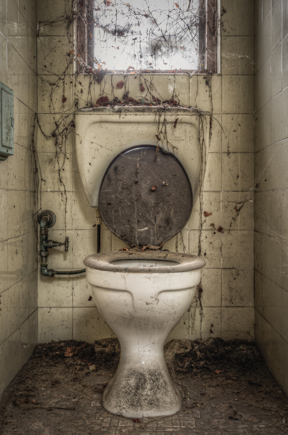 Toilet | Terminus Hotel Fine Art Print - Lost Collective Shop