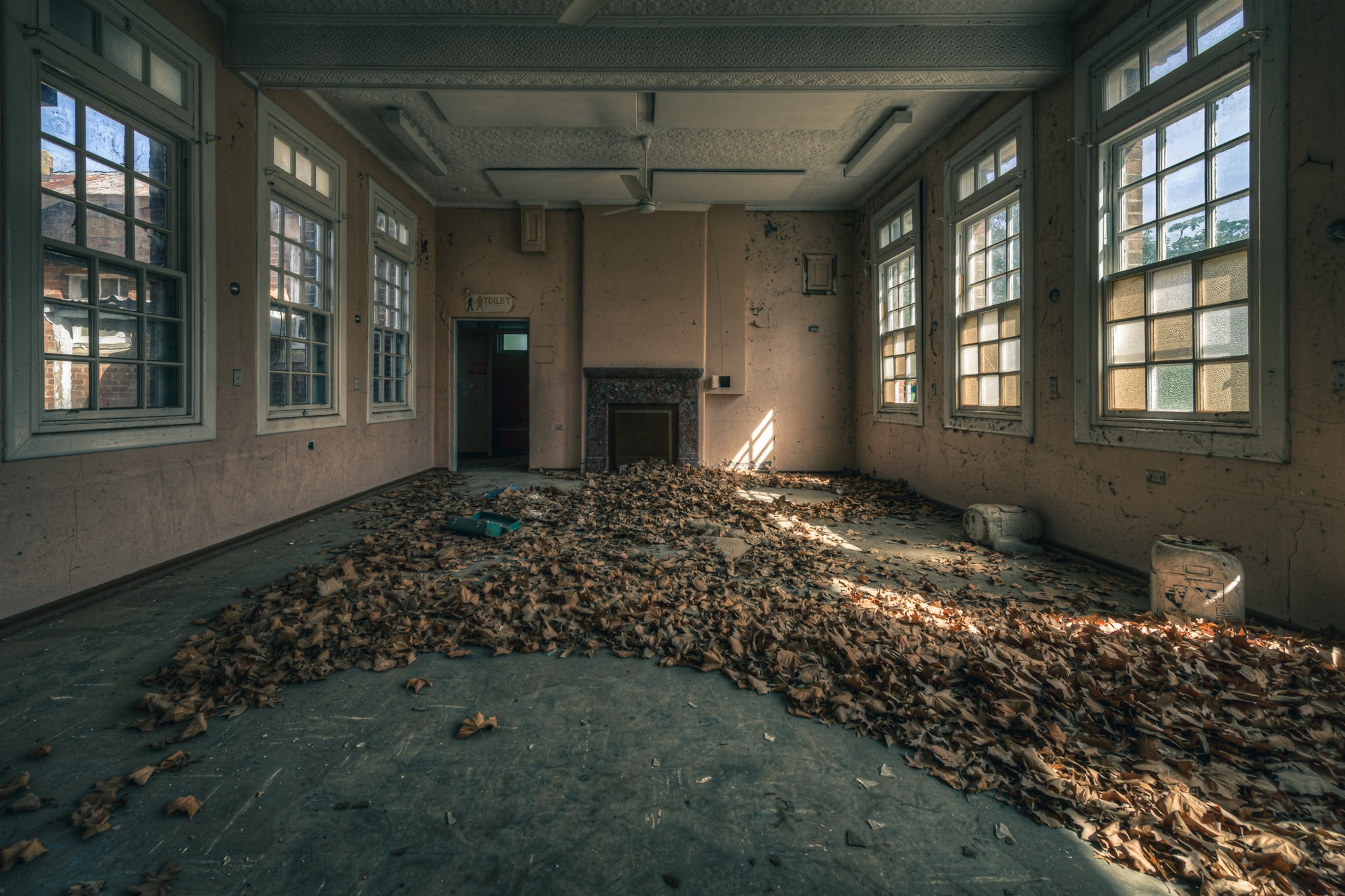 Dead Leaf Carpet at The Asylum, dried leaves carpet the floor of a large common room, banked against the walls in thick.