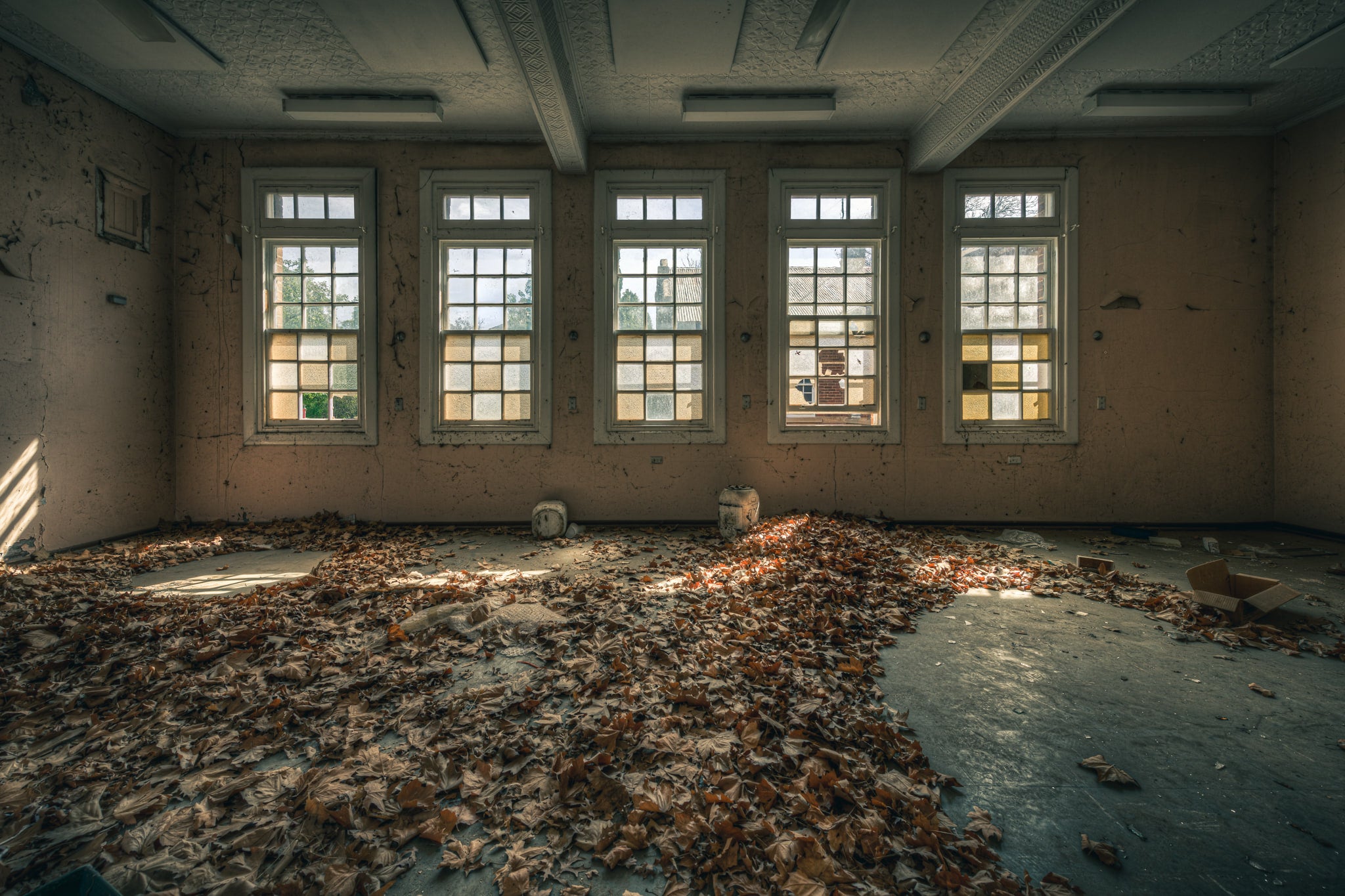 Leafy Outlook at The Asylum, dead leaves blanket the floor in thick, dry drifts.