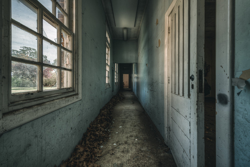 Long Leafy Corridor at The Asylum, a narrow corridor stretches deep into the building.