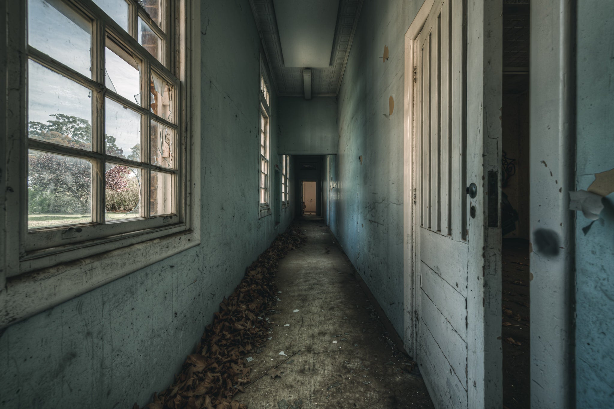 Long Leafy Corridor at The Asylum, a narrow corridor stretches deep into the building.