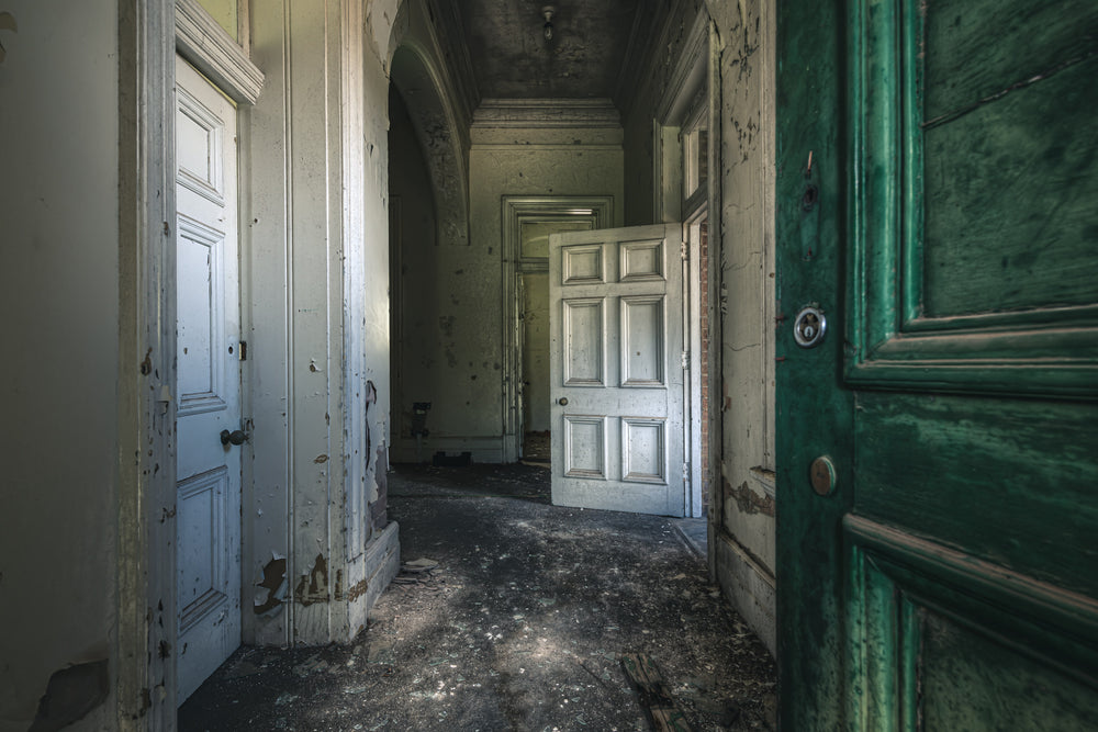 Rough Patch at The Asylum, a deep green door stands open at the entrance to a corridor.