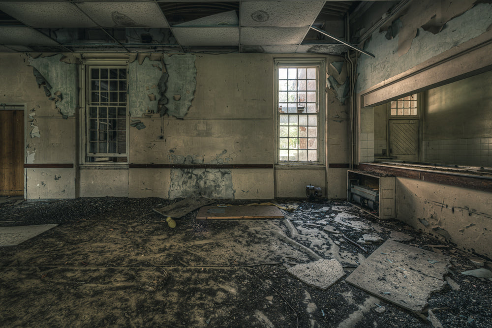 Serving Area at The Asylum, a large interior room with a long servery counter running along the right wall.