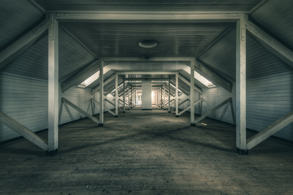 The Attic at The Asylum, timber roof trusses repeat in deep symmetry down the length of the attic space.
