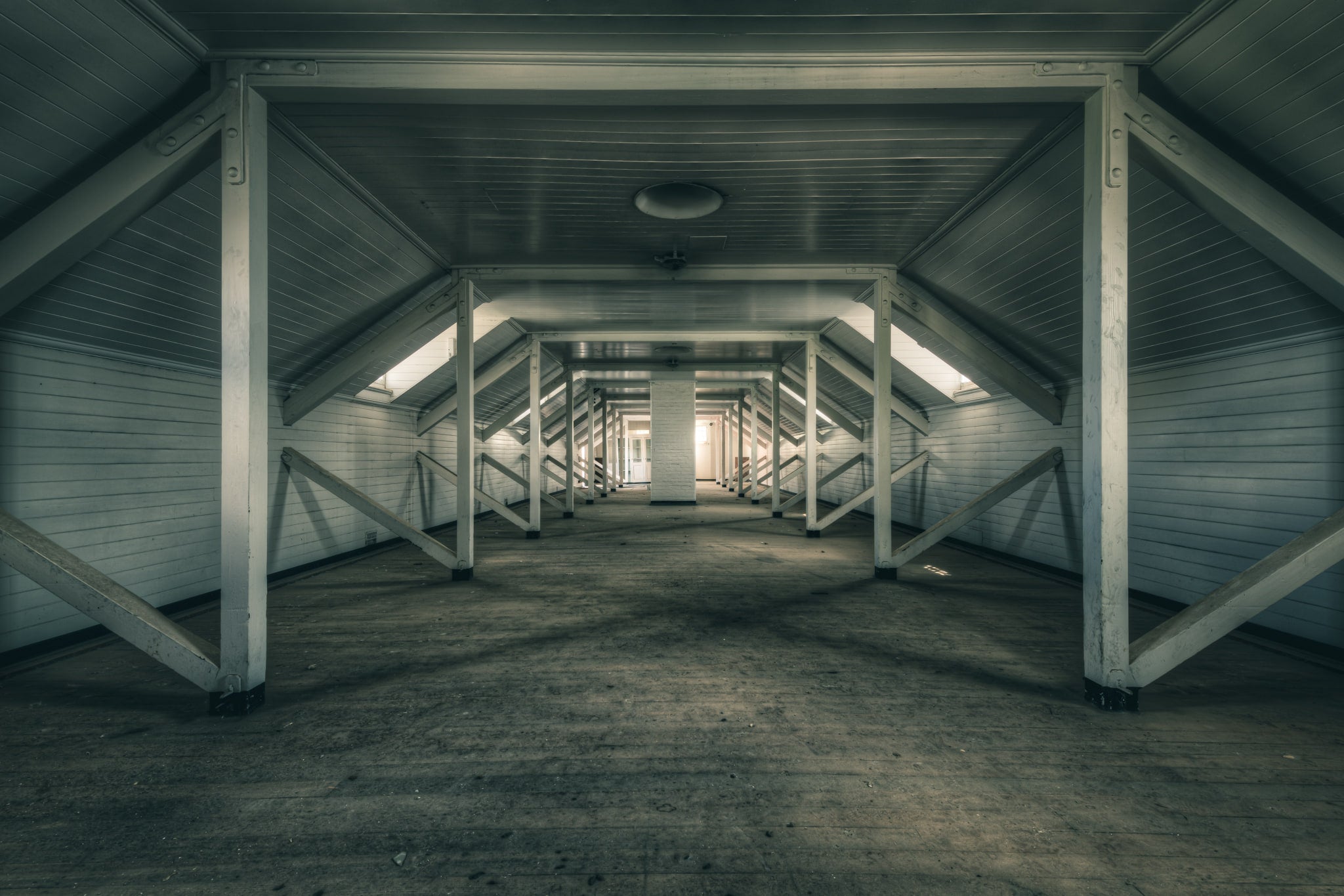 The Attic | The Asylum
