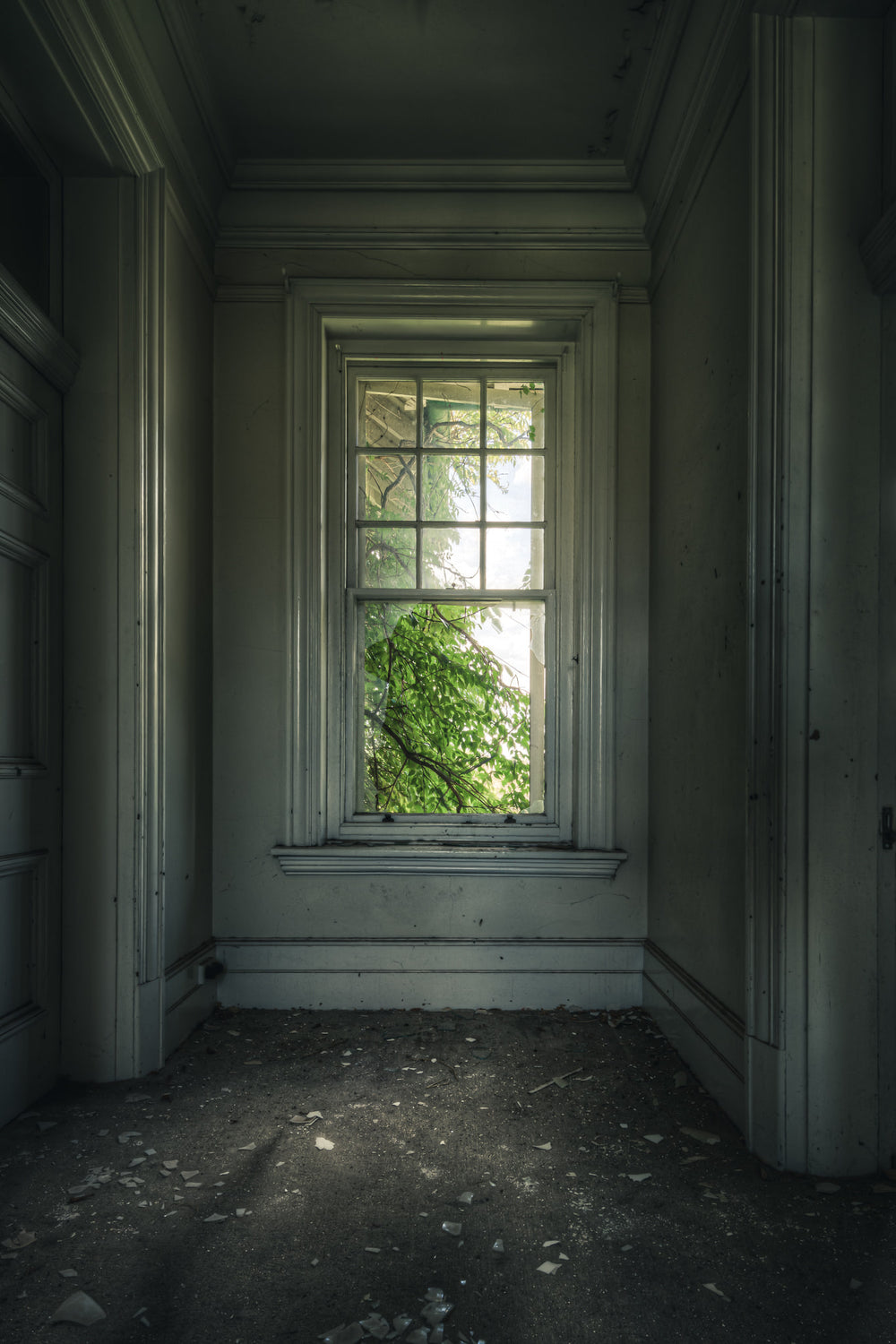 Top Floor Garden at The Asylum, a tall sash window sits recessed in an alcove on the upper floor.