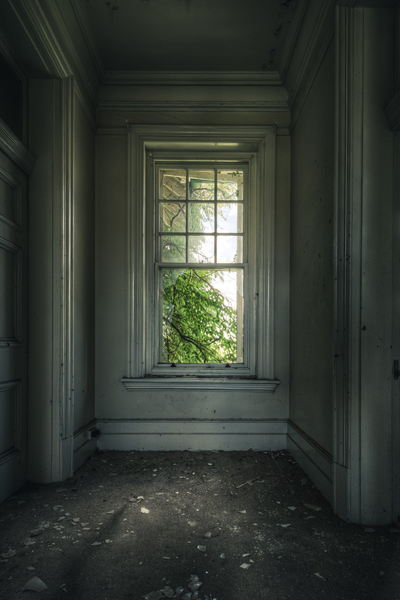 Top Floor Garden at The Asylum, a tall sash window sits recessed in an alcove on the upper floor.