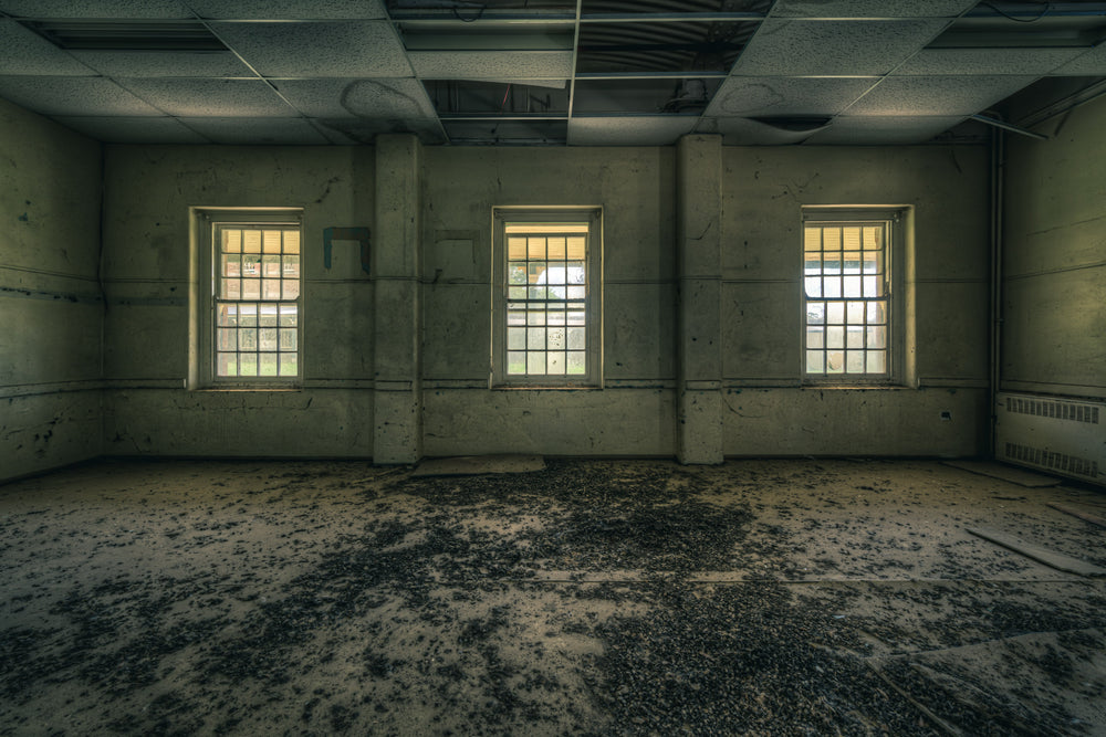 Trilogy at The Asylum, three windows set into concrete walls.