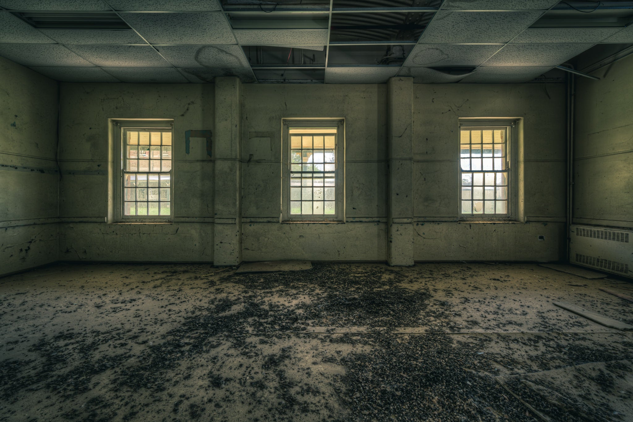 Trilogy at The Asylum, three windows set into concrete walls.