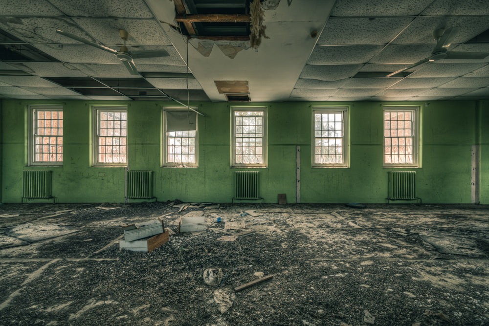 Windows to the World | The Asylum