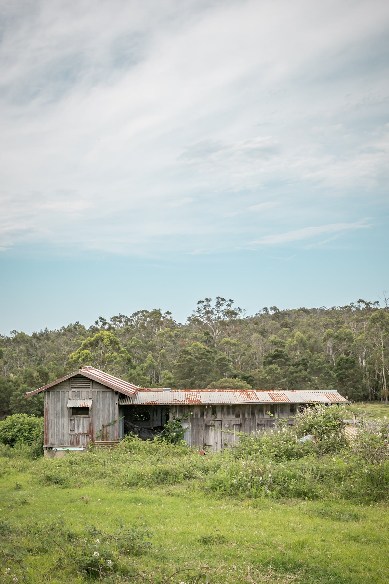 Wolumla Dairy at The Dairy, a weathered timber dairy shed sits low in an open paddock near Wolumla, on the NSW Far South.