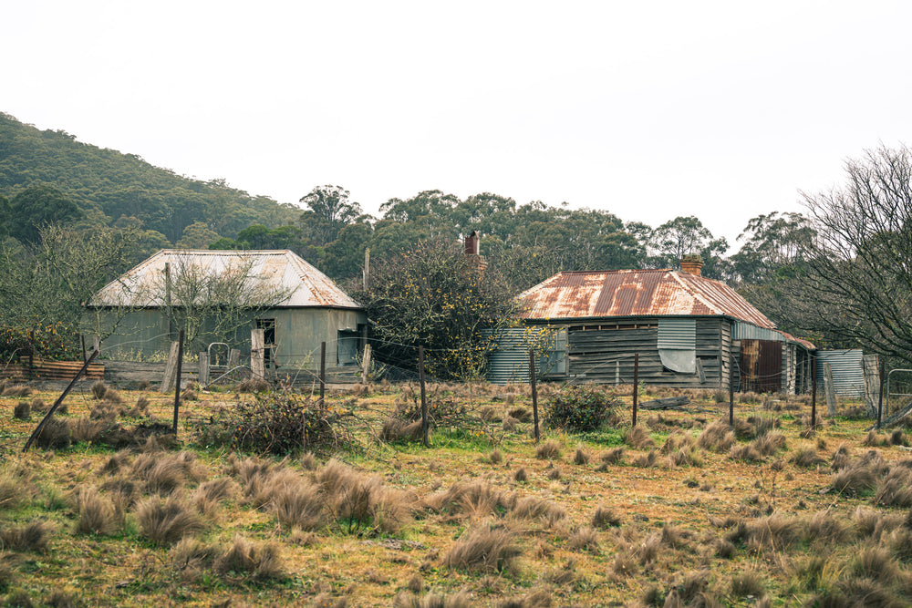 Across the Paddock at The Post Office, two weatherboard buildings sit low in a tussock paddock.