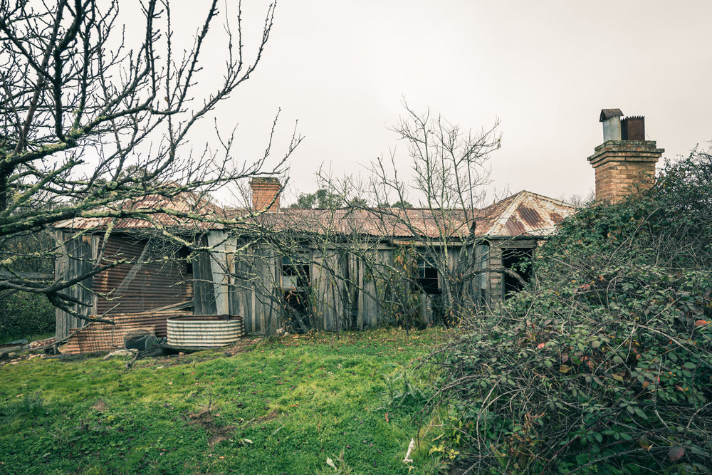Backyard at The Post Office, weathered timber and corrugated iron form the rear wall of a low rural homestead.