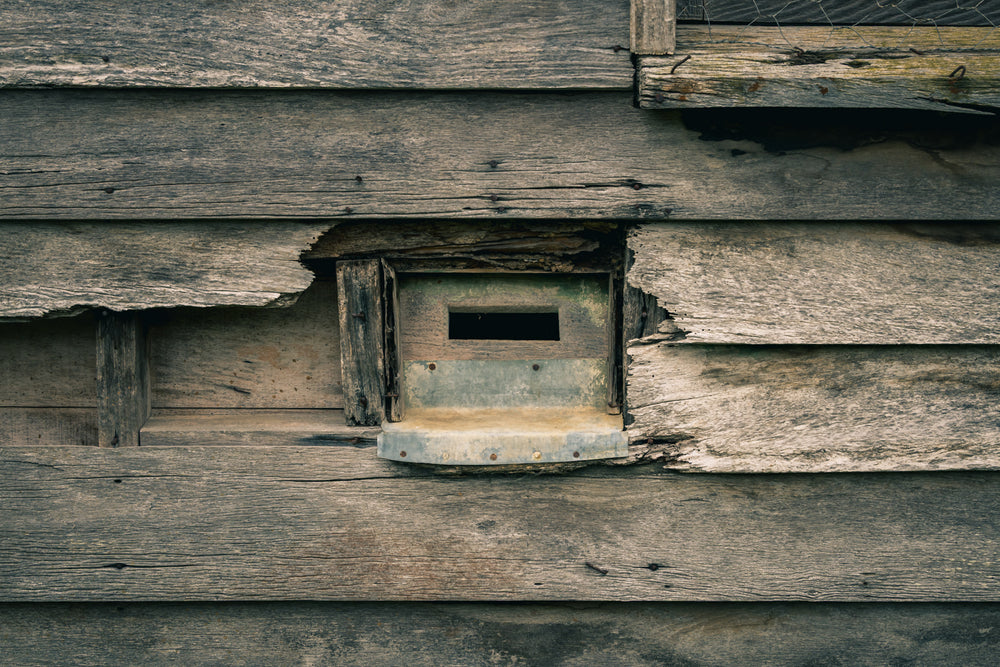 Mail Slot at The Post Office, a galvanised letter slot sits cut into weatherboard cladding, its narrow mouth open.