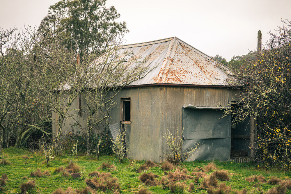Storage Shed at The Post Office, corrugated iron walls lean slightly under a hip roof streaked with rust.