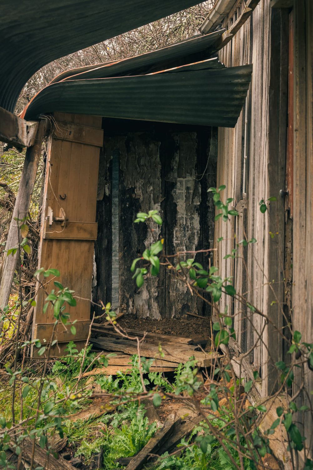 Verandah at The Post Office, a green corrugated iron roof bows away from the timber frame, pulling free at the edge.