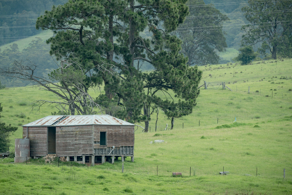 Bemboka Woolshed at The Woolshed, a weatherboard woolshed sits on low timber stumps against a slope of green pasture.