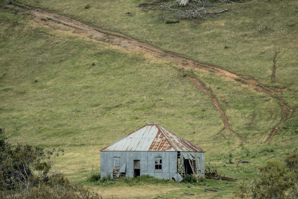 Bottom Of The Hill at The Woolshed, a fibro and corrugated iron shed sits low in a shallow gully, dwarfed by the green.