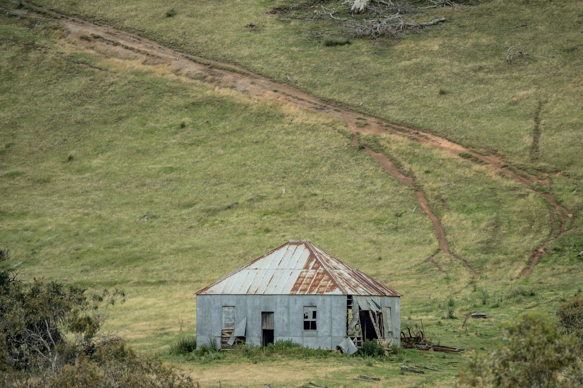 Bottom Of The Hill at The Woolshed, a fibro and corrugated iron shed sits low in a shallow gully, dwarfed by the green.