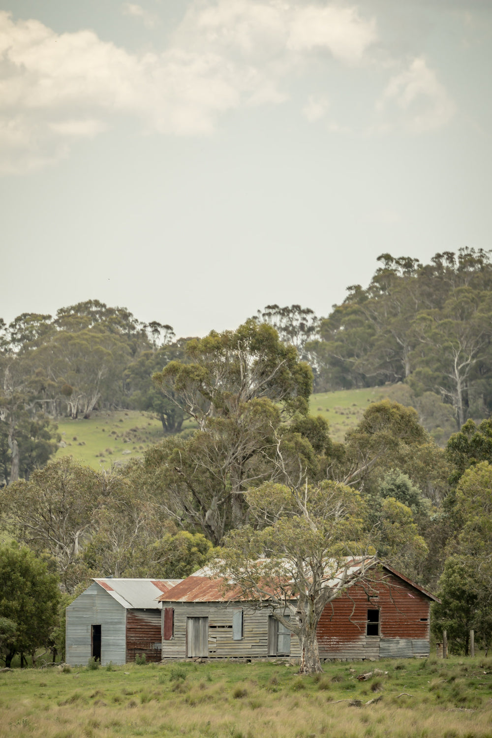 Cathcart Woolshed at The Woolshed, a red-tinged timber woolshed in Cathcart.