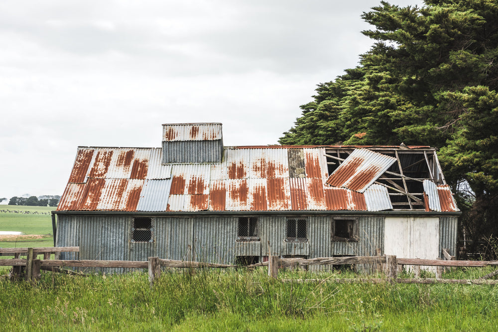 Colac Shed at The Woolshed, a corrugated iron woolshed sits low against flat green pasture near Colac, in Victoria's.