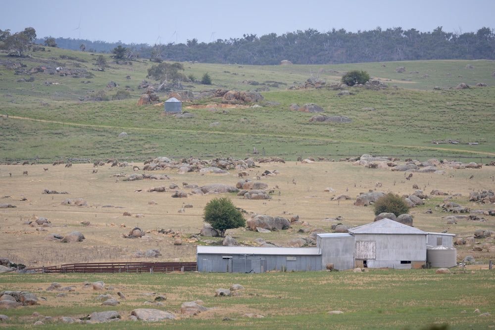 Dalgety Woolshed at The Woolshed, a distant woolshed in a rocky Dalgety valley.