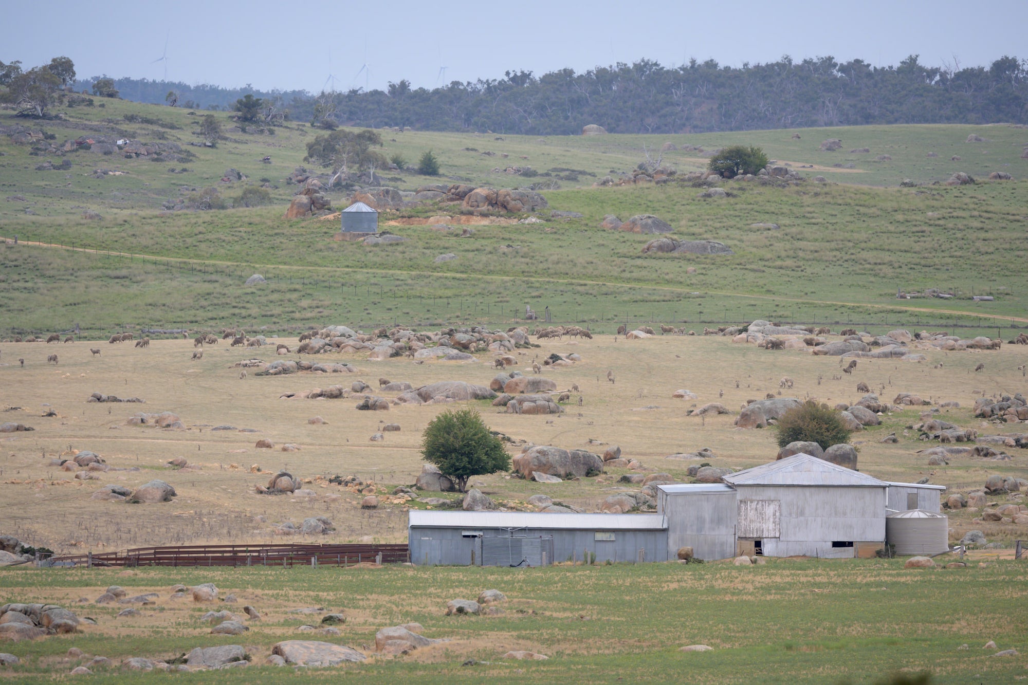 Dalgety Woolshed at The Woolshed, a distant woolshed in a rocky Dalgety valley.