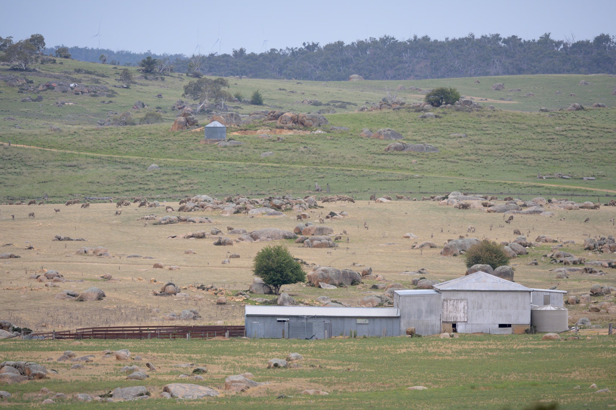 Dalgety Woolshed at The Woolshed, a distant woolshed in a rocky Dalgety valley.