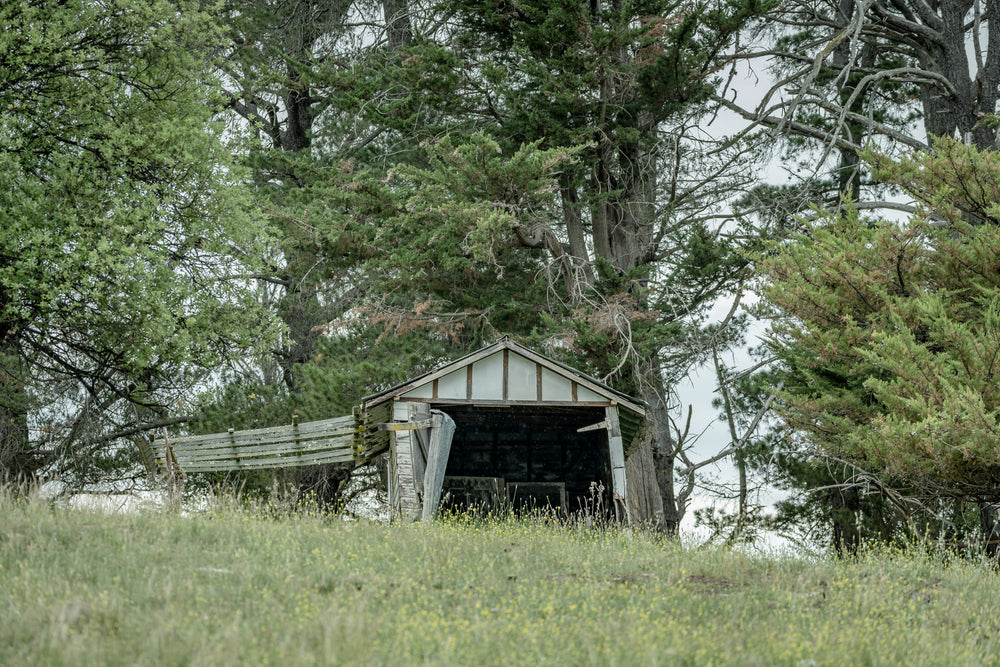 Hilltop Shed at The Woolshed, a small timber shed sits low on a grassed hilltop, its gable face open to the paddock.