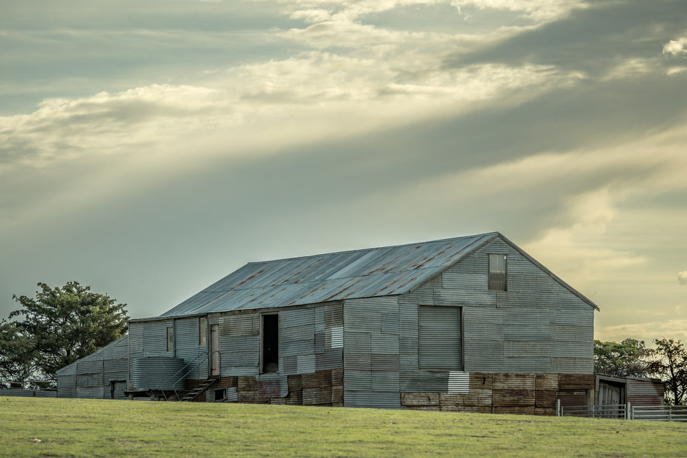 Ironmungie Road Woolshed at The Woolshed, a very neat and tidy looking woolshed in Dalgety.