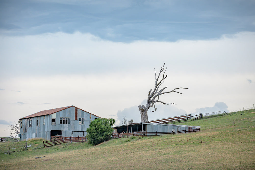 Jimenbuen Woolshed at The Woolshed, a corrugated iron woolshed on a Jimenbuen Hillside.