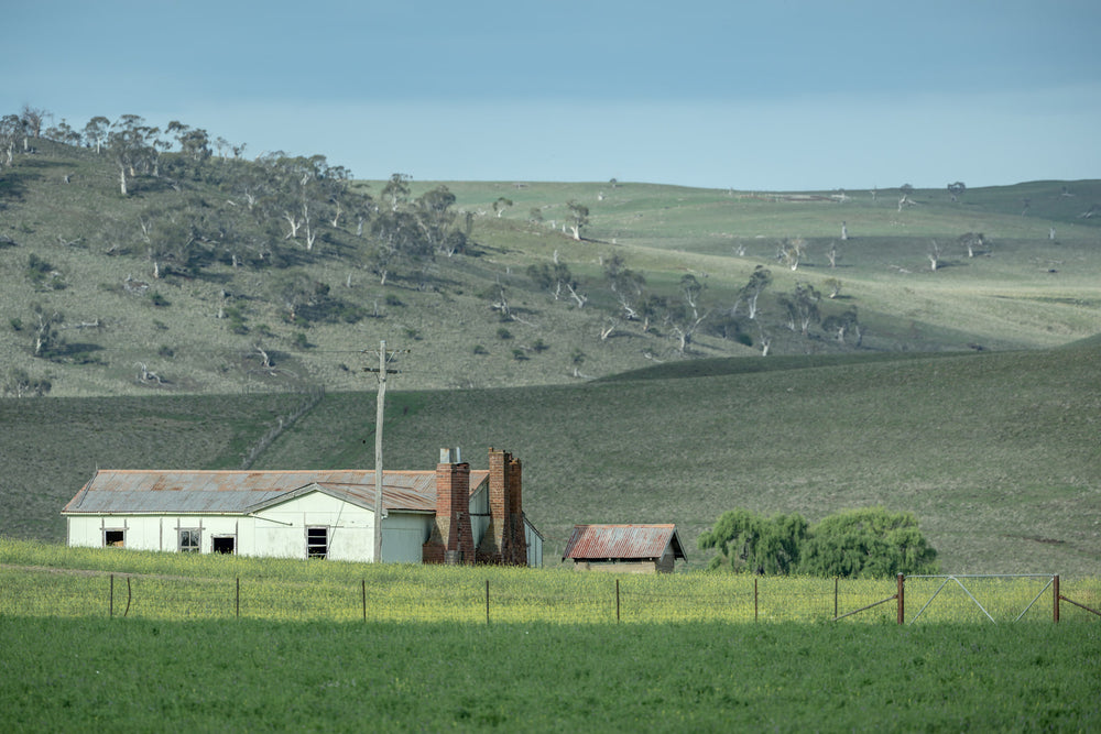 Maffra Shearers Quarters at The Woolshed, a weatherboard shearing quarters sits low in green pasture, its corrugated iron.