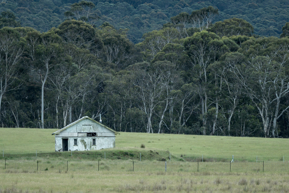 Nimmitabel Shed at The Woolshed, a single weatherboard shed sits on a low rise in the middle of open grazing country near.