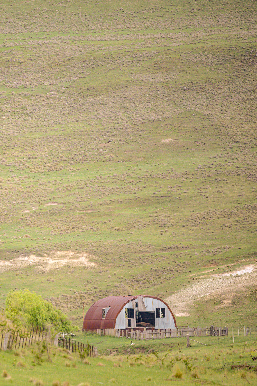 Nissen Hut In The Distance at The Woolshed, a Nissen hut sits at the base of a vast open hillside, dwarfed by the slope.
